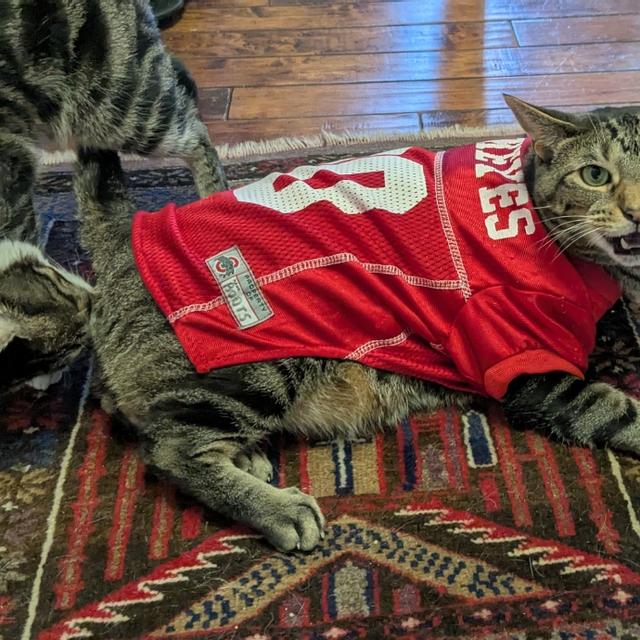 Recent check-in photo 3