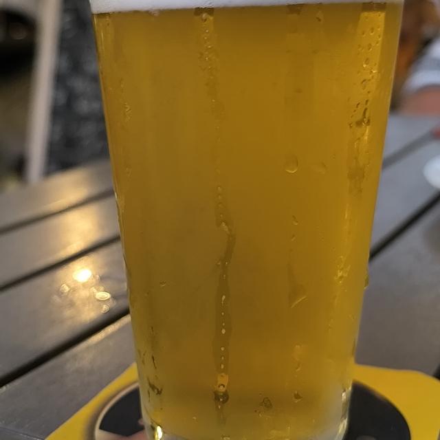 Recent check-in photo 6