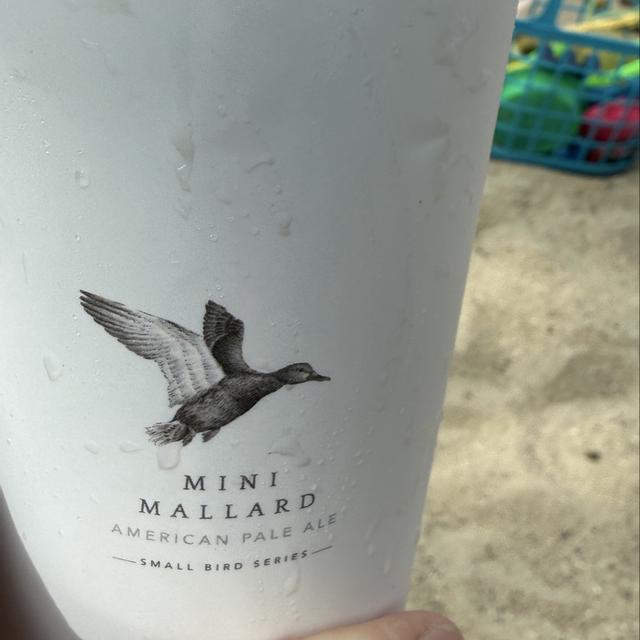 Recent check-in photo 3