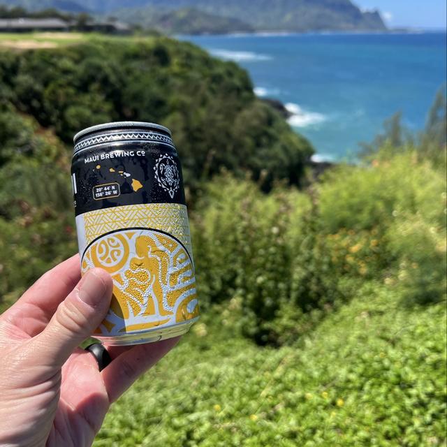 Recent check-in photo 6