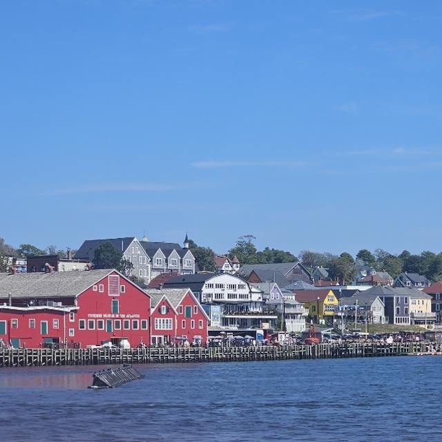 Recent check-in photo 4