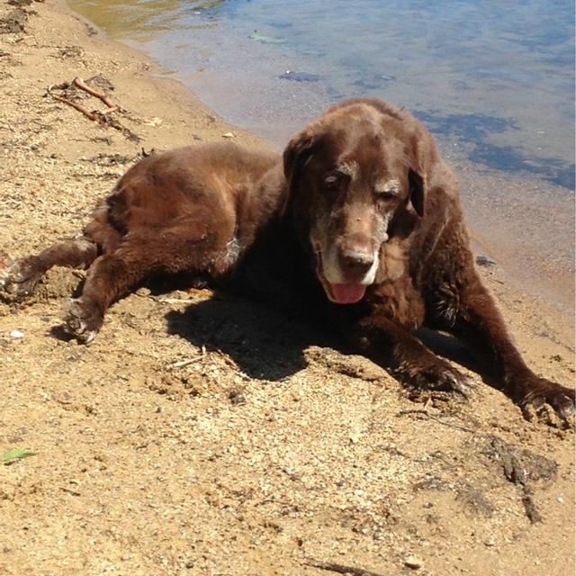 Recent check-in photo 1