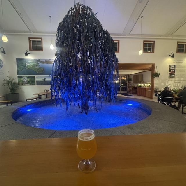 Recent check-in photo 2