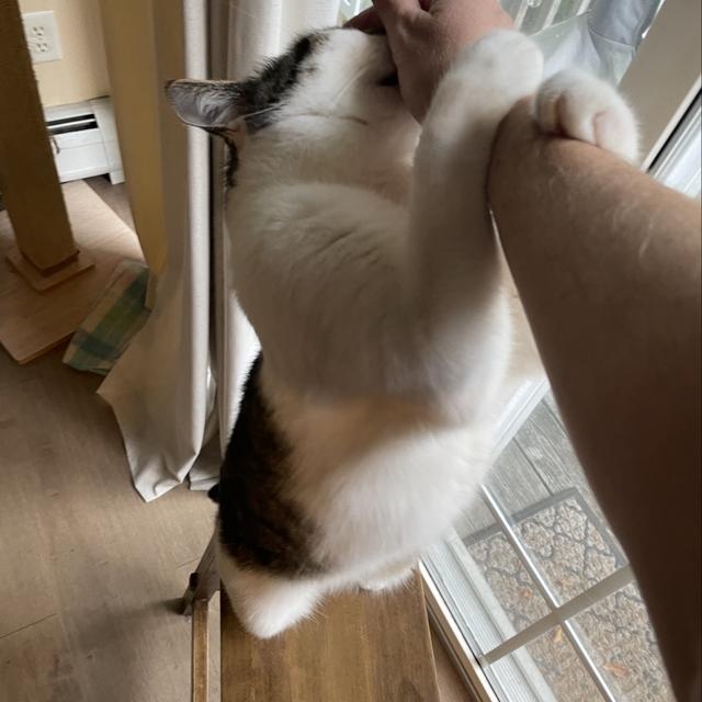 Recent check-in photo 3