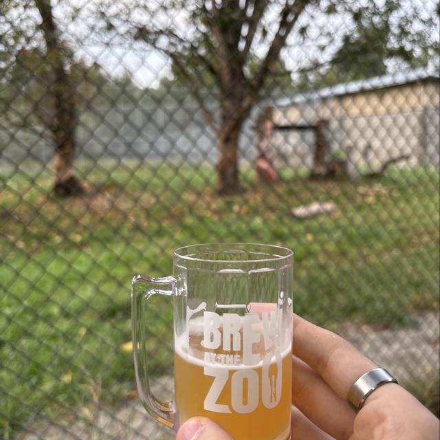 Recent check-in photo 5