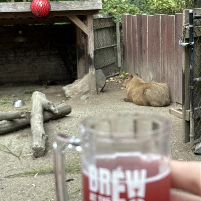 Recent check-in photo 6