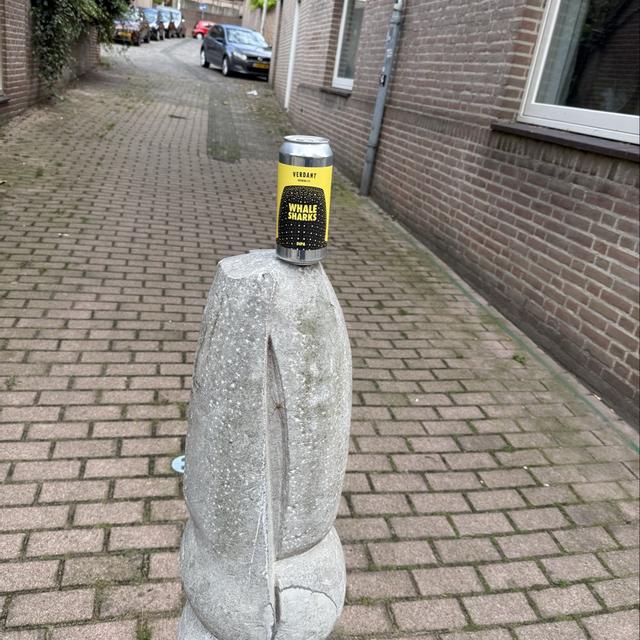 Recent check-in photo 6