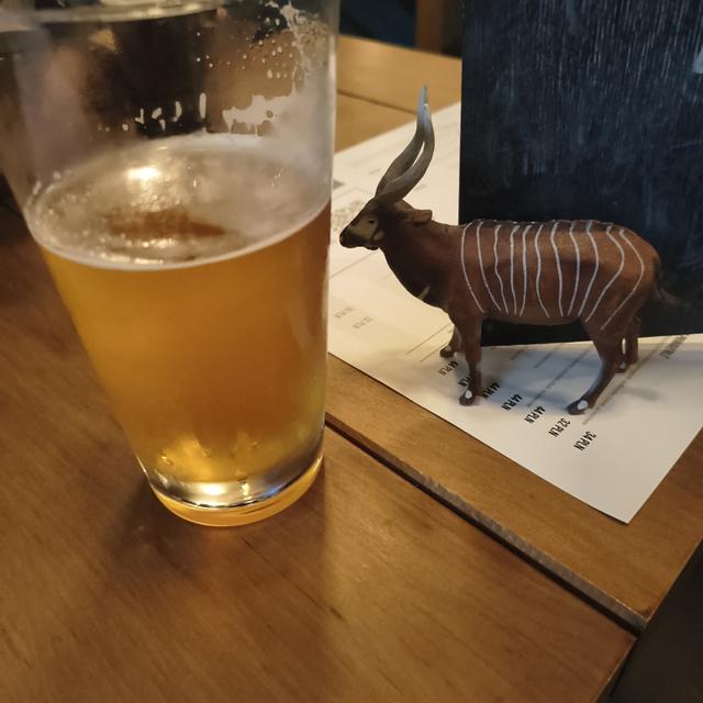 Recent check-in photo 3