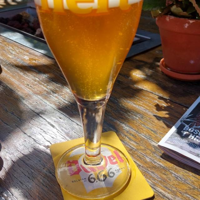 Recent check-in photo 4