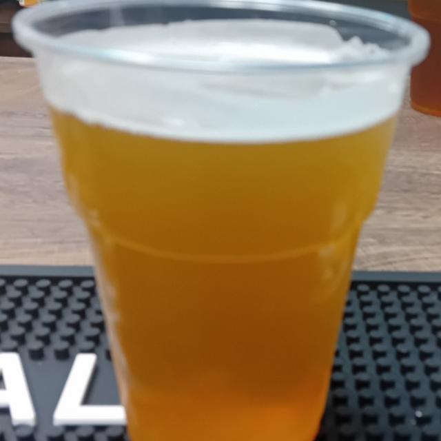 Photo (c) XrissPetrova