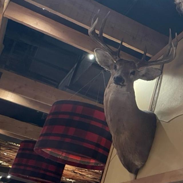 Recent check-in photo 3