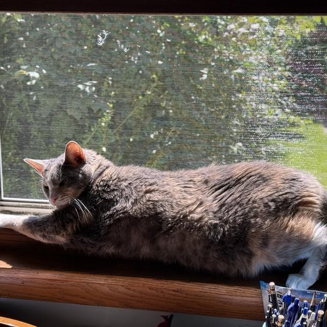 Recent check-in photo 3