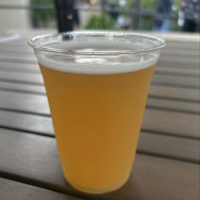 Recent check-in photo 6