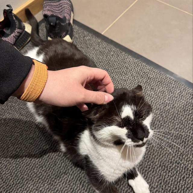 Recent check-in photo 1