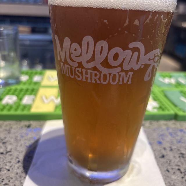 Recent check-in photo 5