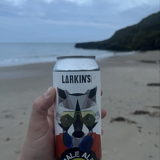 Recent check-in photo 4