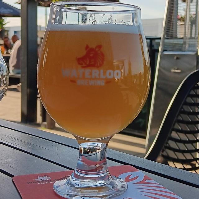 Recent check-in photo 3