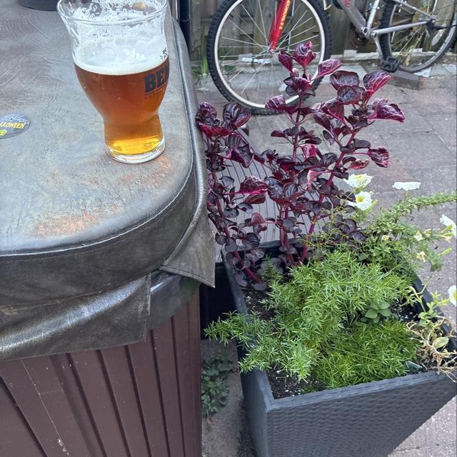 Recent check-in photo 1