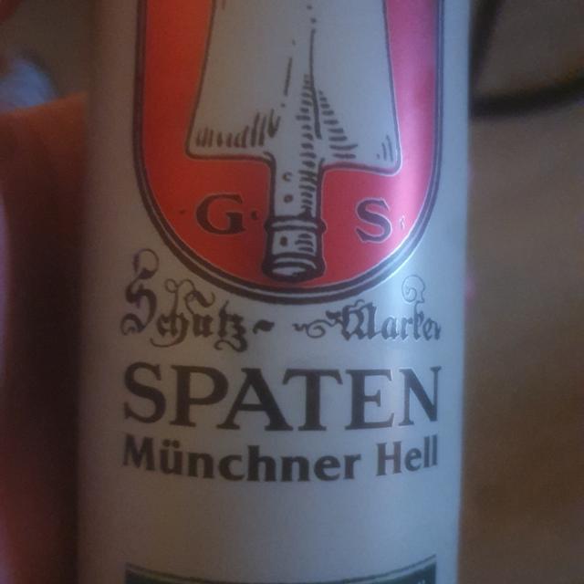 Recent check-in photo 6