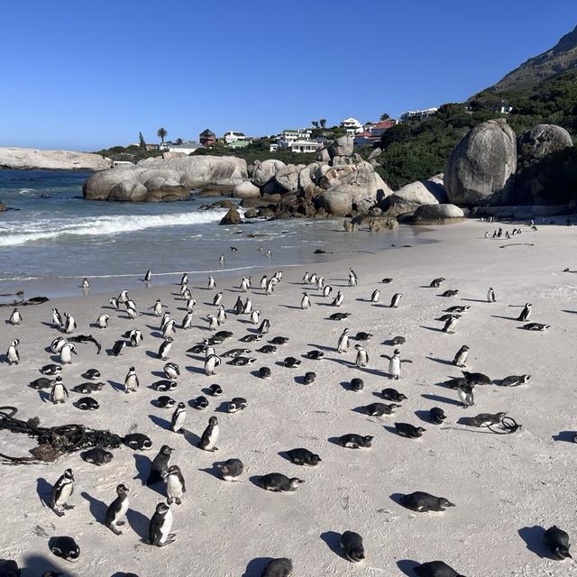 Recent check-in photo 3