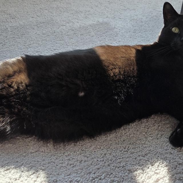 Recent check-in photo 2