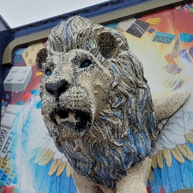 Recent check-in photo 4