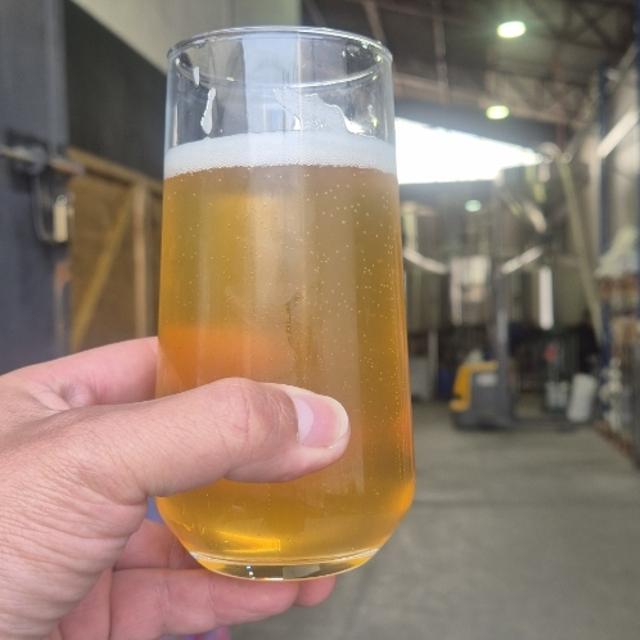 Recent check-in photo 6