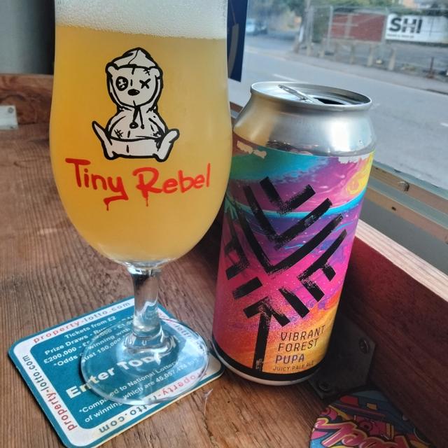 Recent check-in photo 4