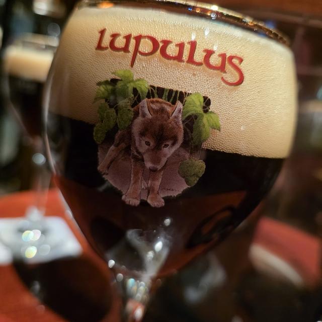 Een foto van Christian Offermann (offipimpi) bij de brouwerij Brasserie Lupulus