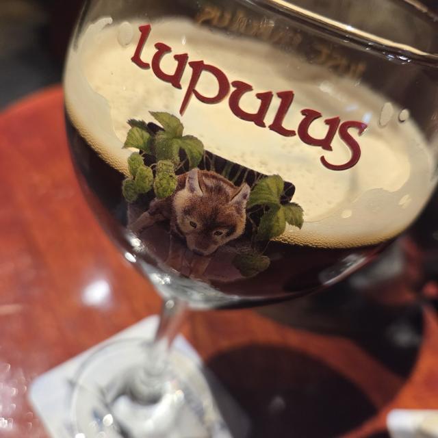 Een foto van Katrin Bongard (Katilii) bij de brouwerij Brasserie Lupulus