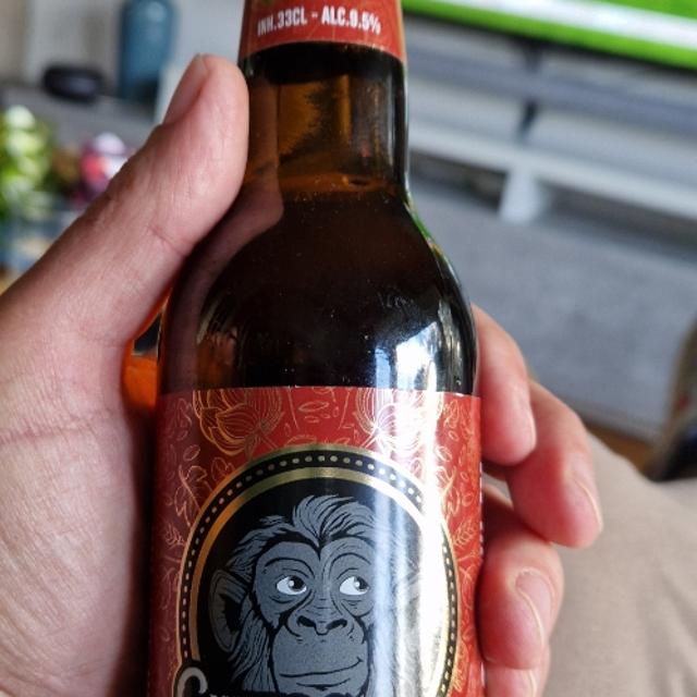 Een foto van W.H. De Vries (Feedhorn) met een Tripel Aap