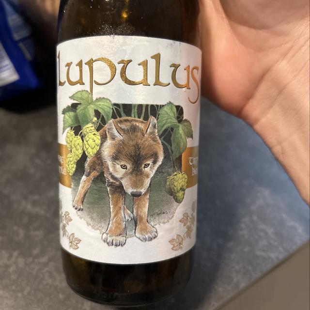 Een foto van Renee Paiva Klug (reneepaiva) met een Lupulus Blonde
