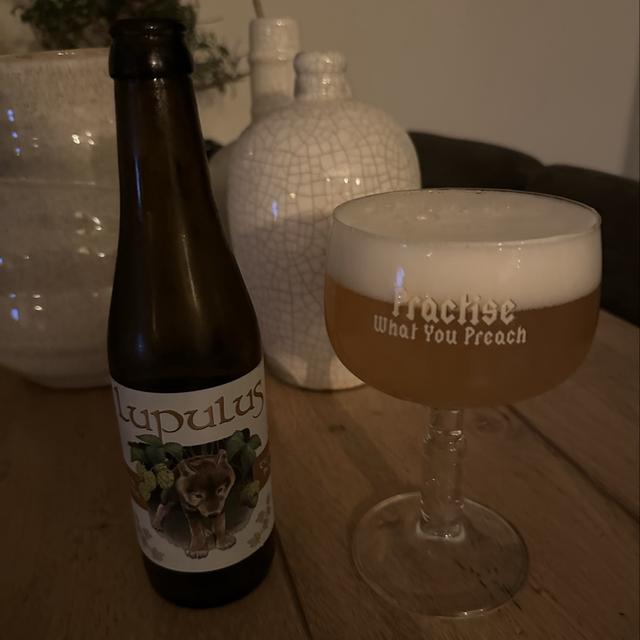 Een foto van Roel Wiltingh (RoelWiltingh96) met een Lupulus Blonde