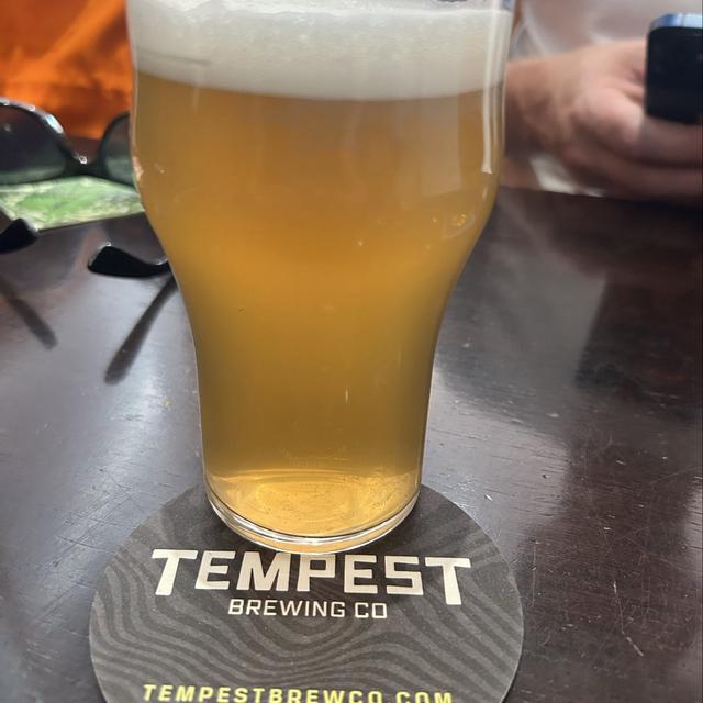 Recent check-in photo 6