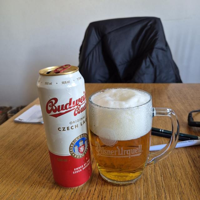 Recent check-in photo 6