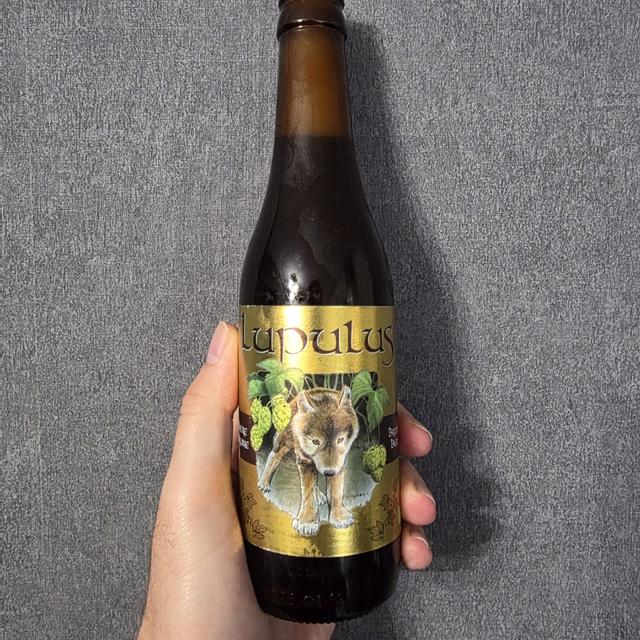 Een foto van Jasper (Mrblueeyes88) met een Lupulus Brune