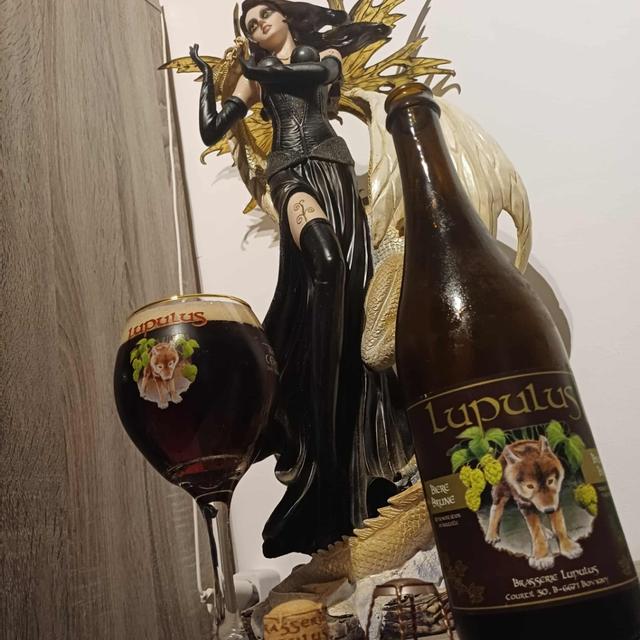 Een foto van Nick Wesemael (nick_wesemael_7457) met een Lupulus Brune