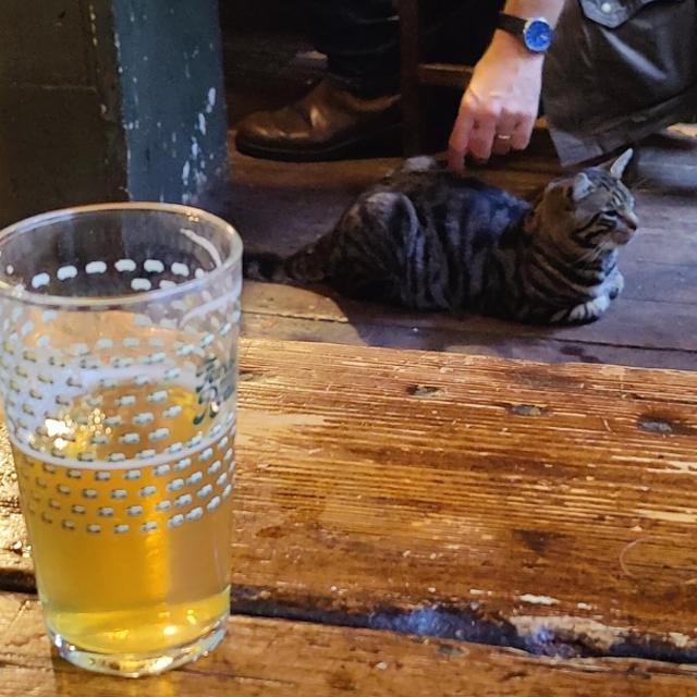 Recent check-in photo 3