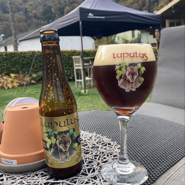Een foto van Hugo Schep (hugo_schep_6691) met een Lupulus Brune