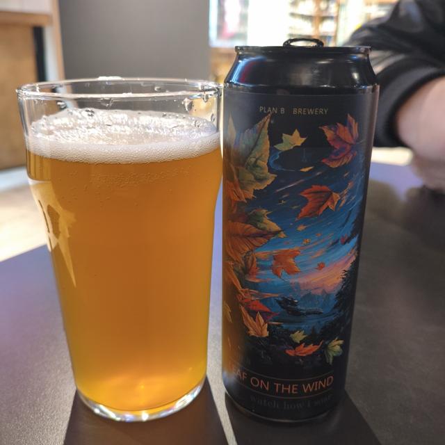 Recent check-in photo 6