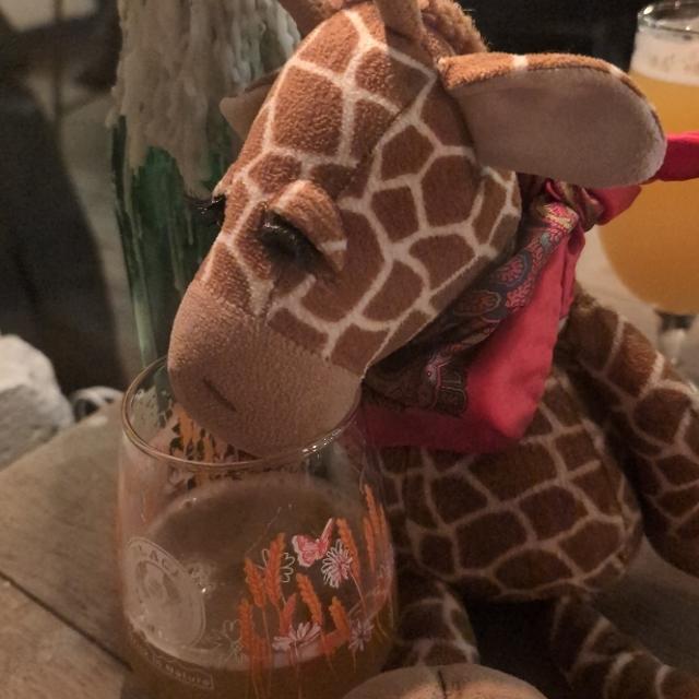 Recent check-in photo 4