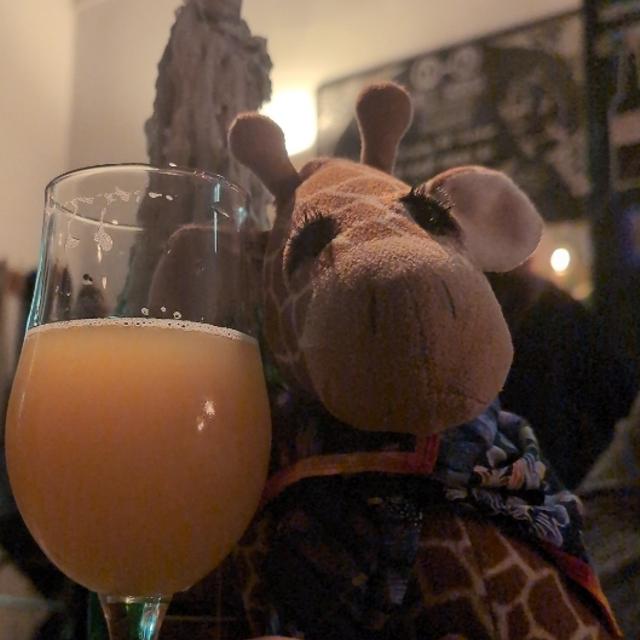 Recent check-in photo 3