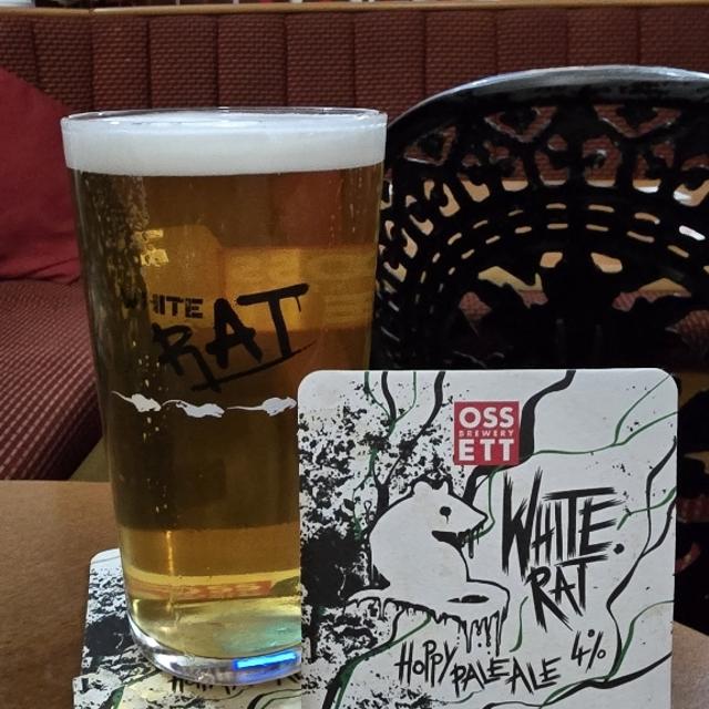 Recent check-in photo 6