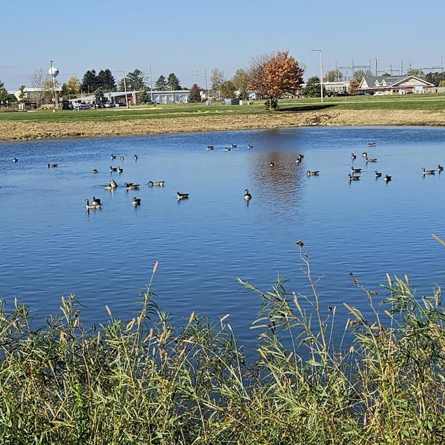 Recent check-in photo 1