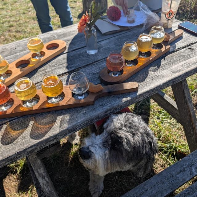 Recent check-in photo 2