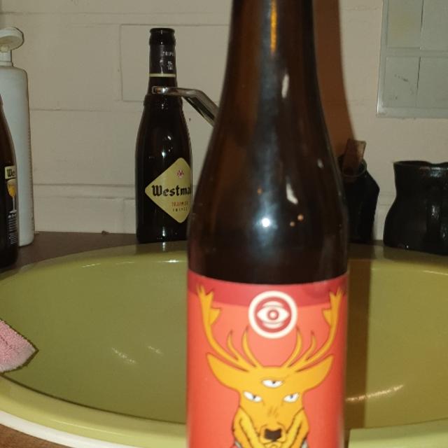 Recent check-in photo 2