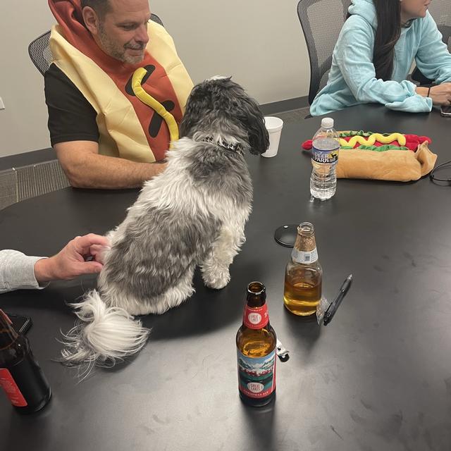 Recent check-in photo 4