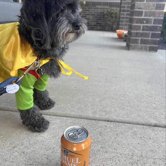 Recent check-in photo 3