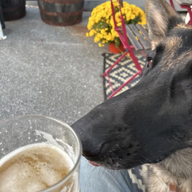 Recent check-in photo 6