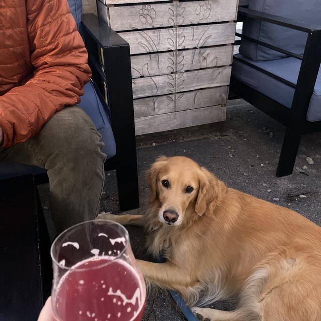 Recent check-in photo 3